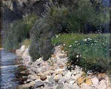 Riverbank with Flower Meadow 